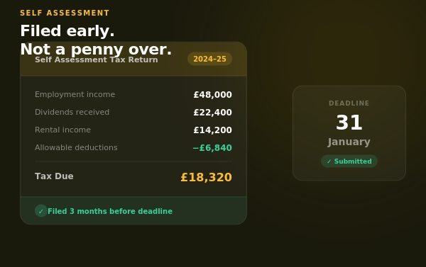 Taxity self assessment service — completed tax return showing income sources, allowable deductions and tax due, filed ahead of January 