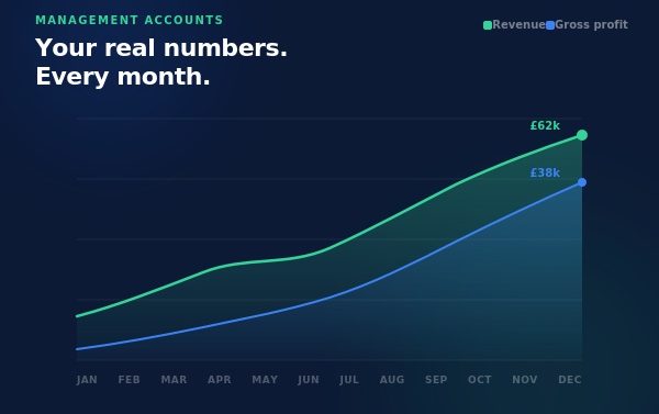 Taxity management accounts service — monthly revenue and gross profit line chart showing business growth across the year